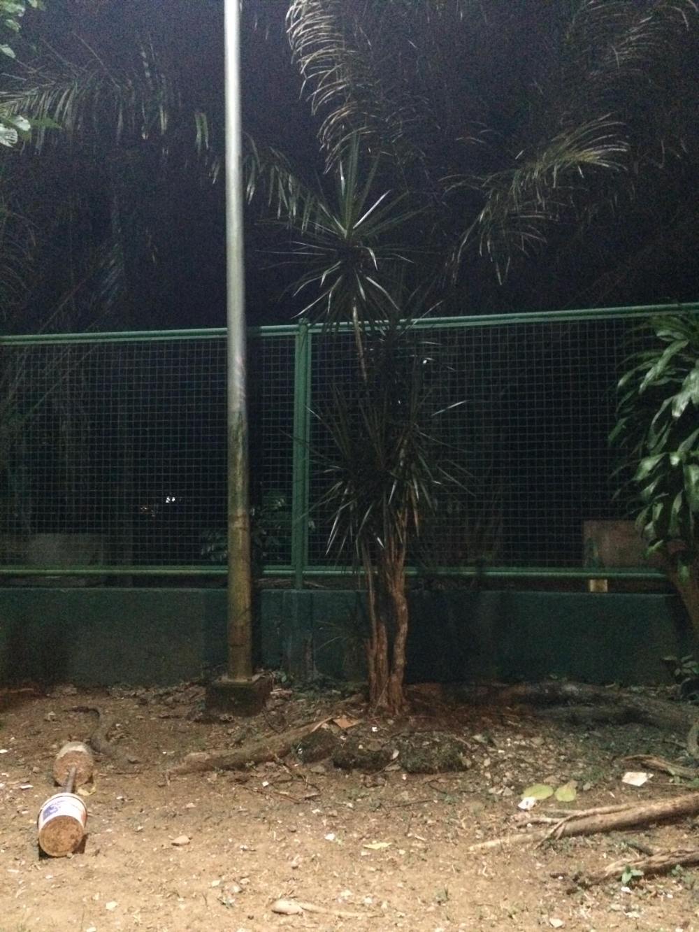 47350851_263412334353359_441161620257767424_n