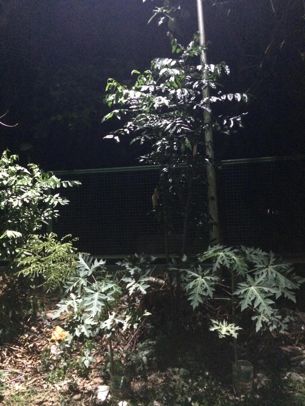 47371444_729226060767434_6950511099414315008_n